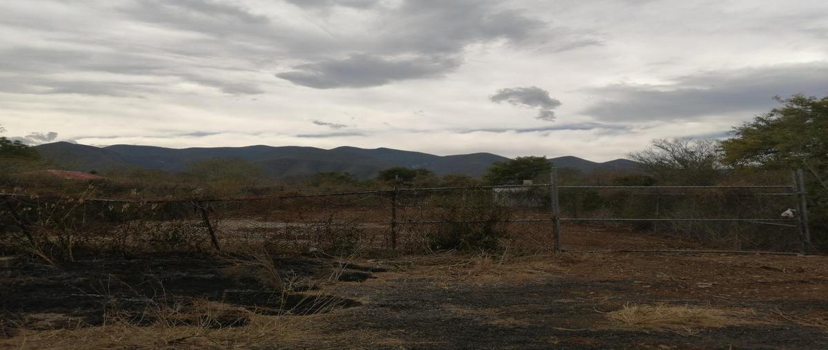 Foto de terreno habitacional en venta en  , ejido la misión (ejido), victoria, tamaulipas, 0 No. 04