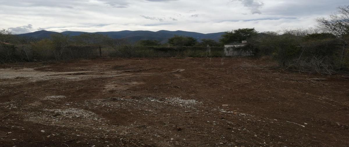 Foto de terreno habitacional en venta en  , ejido la misión (ejido), victoria, tamaulipas, 0 No. 05