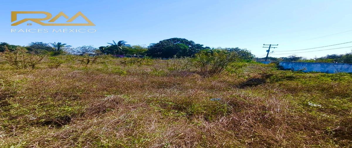 Foto de terreno habitacional en venta en  , ejido la pedrera, altamira, tamaulipas, 0 No. 03