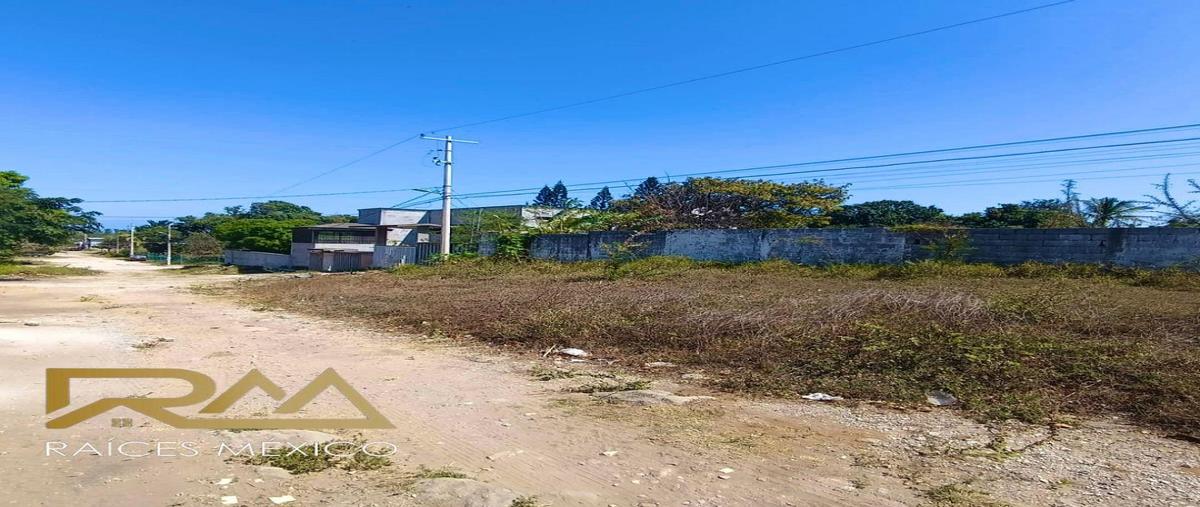 Foto de terreno habitacional en venta en  , ejido la pedrera, altamira, tamaulipas, 0 No. 04