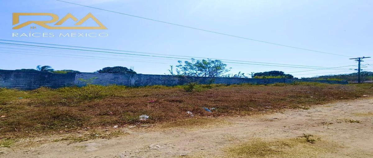 Foto de terreno habitacional en venta en  , ejido la pedrera, altamira, tamaulipas, 0 No. 05