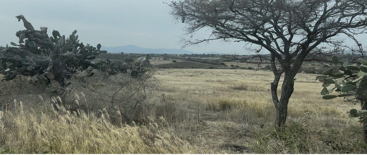 Foto de terreno comercial en venta en ejido la sabanilla , el puerto de la sabanilla, jerécuaro, guanajuato, 0 No. 03