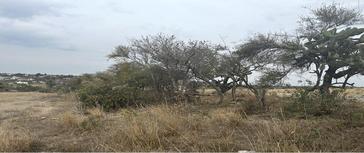 Foto de terreno comercial en venta en ejido la sabanilla , el puerto de la sabanilla, jerécuaro, guanajuato, 0 No. 04