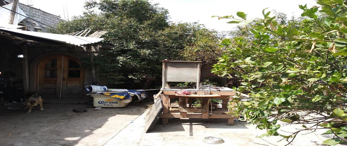 Foto de casa en venta en  , ejido la virgen, ixtapaluca, méxico, 28110909 No. 04