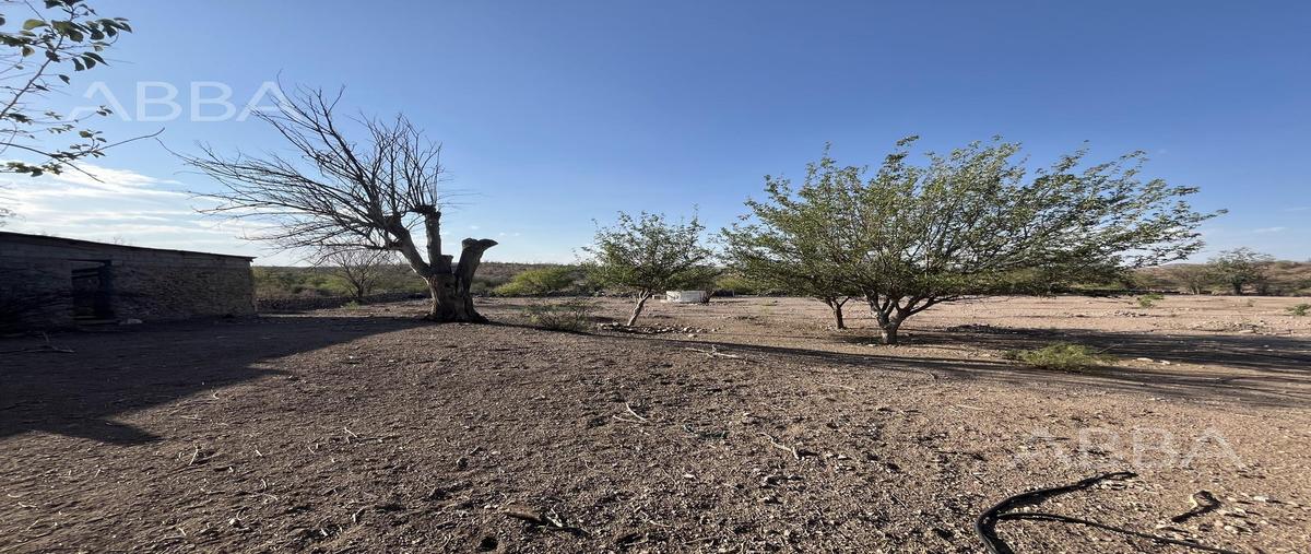 Foto de rancho en venta en  , ejido labor de dolores, chihuahua, chihuahua, 0 No. 03