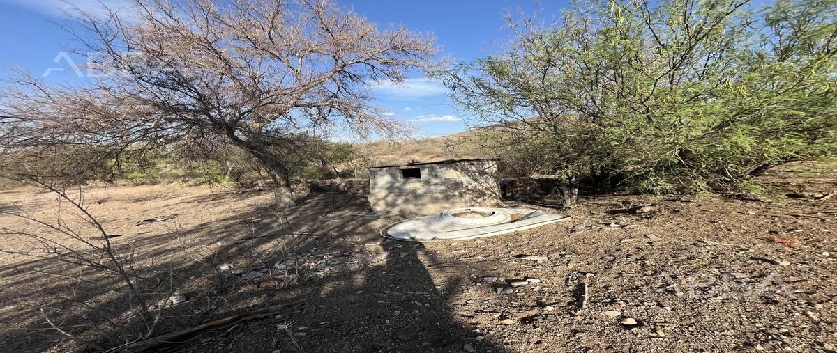 Foto de rancho en venta en  , ejido labor de dolores, chihuahua, chihuahua, 0 No. 04