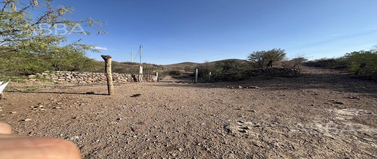 Foto de rancho en venta en  , ejido labor de dolores, chihuahua, chihuahua, 0 No. 05