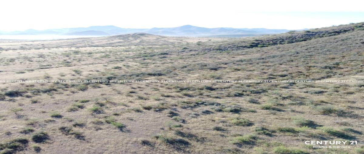 Foto de terreno habitacional en venta en  , ejido labor de dolores, chihuahua, chihuahua, 0 No. 03