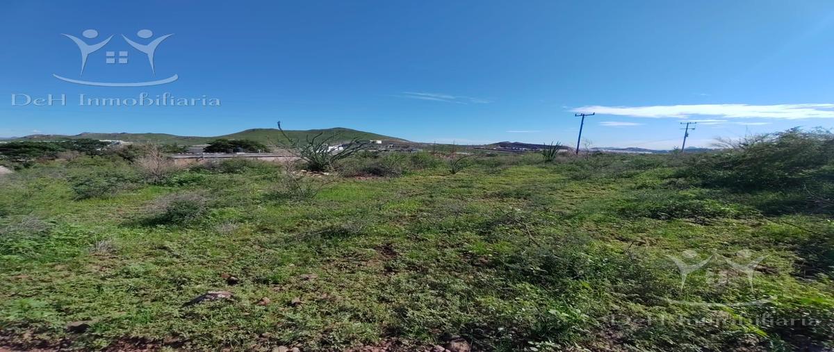 Foto de terreno habitacional en venta en  , ejido labor de terrazas, chihuahua, chihuahua, 30137509 No. 01