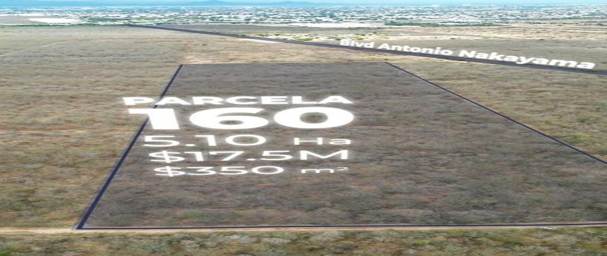 Foto de terreno habitacional en venta en ejido las flores , la primavera, culiacán, sinaloa, 0 No. 03