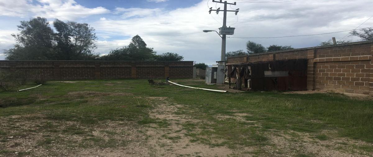 Foto de rancho en venta en ejido lo de juárez , ejido lo de juárez, irapuato, guanajuato, 25326281 No. 04