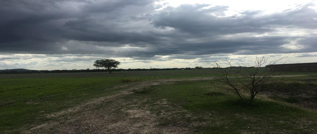 Foto de rancho en venta en ejido lo de juárez , ejido lo de juárez, irapuato, guanajuato, 25326281 No. 05