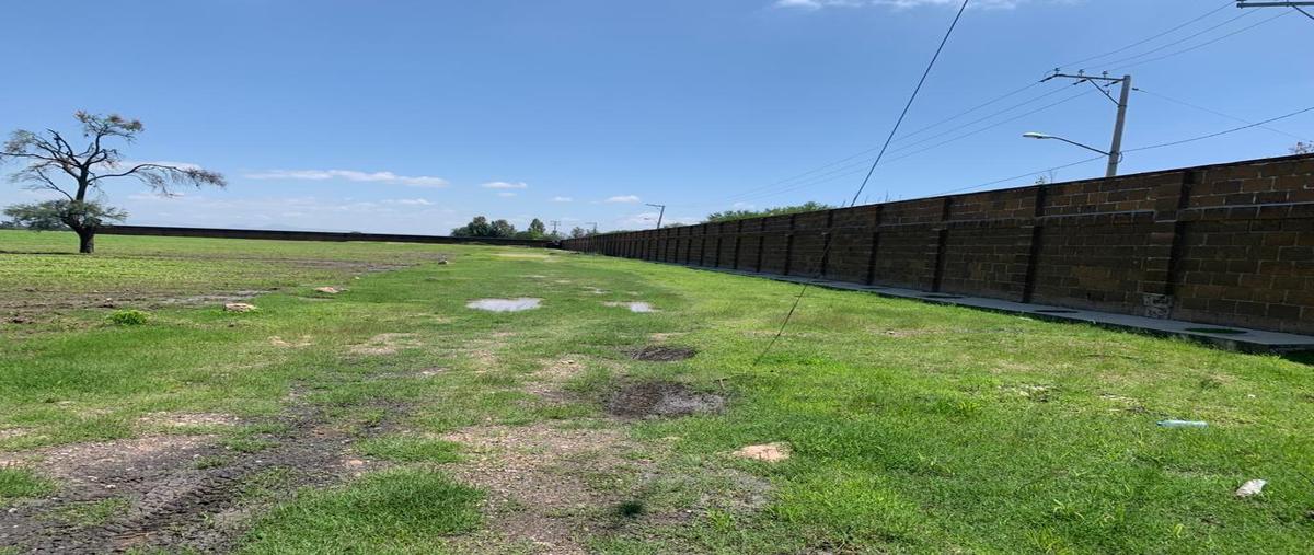 Foto de rancho en venta en  , ejido lo de juárez, irapuato, guanajuato, 0 No. 03