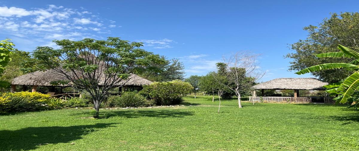 Foto de rancho en ejido monterreicillo , monterrey, lerdo, durango, 0 foto 04 Foto de rancho en venta en ejido monterreicillo , monterrey, lerdo, durango, 0 No. 04