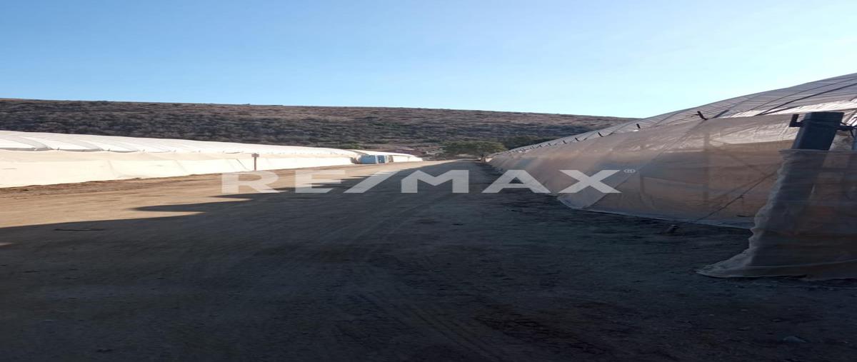 Foto de terreno habitacional en venta en ejido nacionalista , maneadero, ensenada, baja california, 0 No. 05