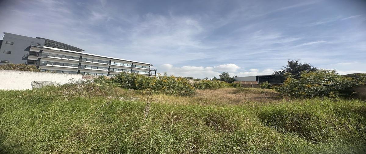 Foto de terreno habitacional en ejido norte sur 39 , el verde, el salto, jalisco, 29035846 foto 02 Foto de terreno habitacional en venta en ejido norte sur 39 , el verde, el salto, jalisco, 29035846 No. 02