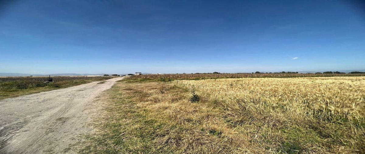 Foto de terreno habitacional en venta en ejido pachuquilla 0, pachuquilla, mineral de la reforma, hidalgo, 26277323 No. 03