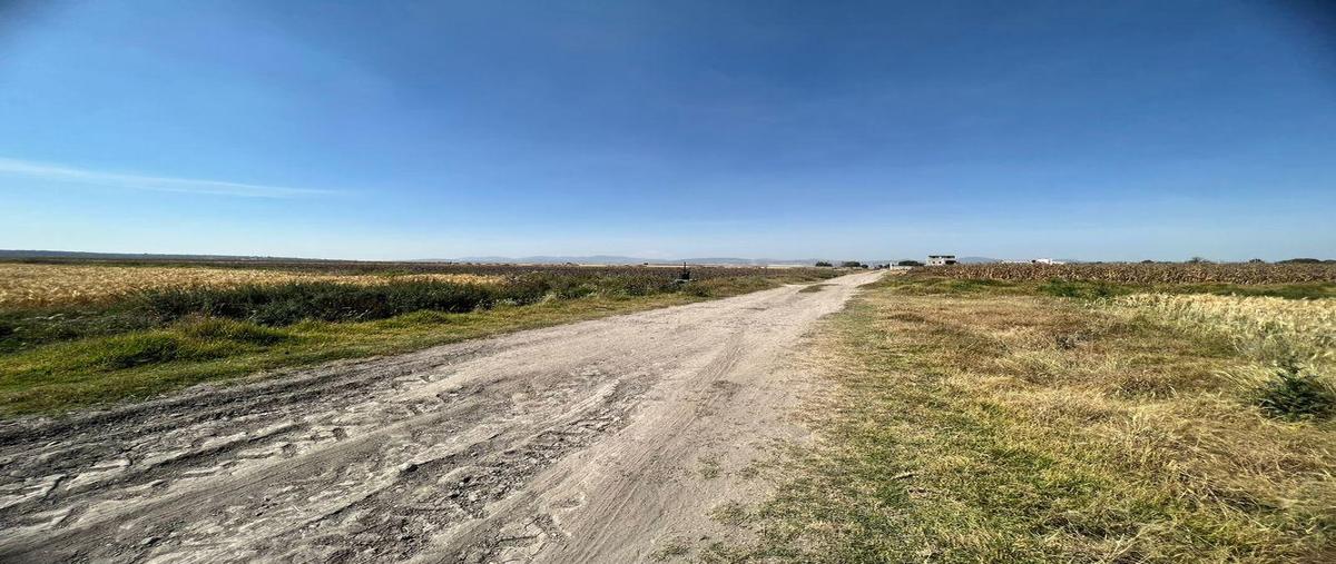Foto de terreno habitacional en venta en ejido pachuquilla 0, pachuquilla, mineral de la reforma, hidalgo, 26277323 No. 05