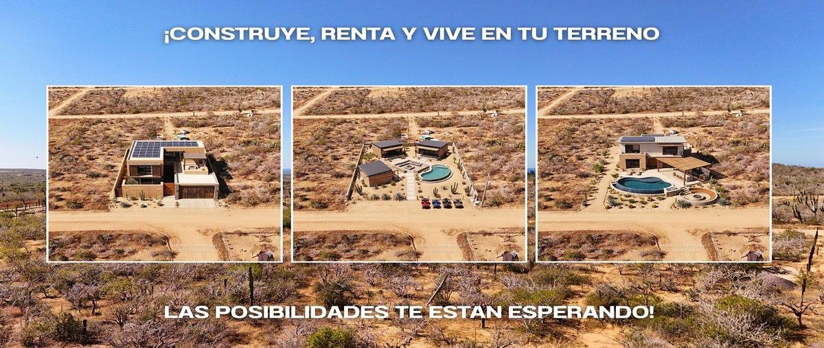 Foto de terreno habitacional en venta en ejido plutarco elias calles , plutarco elias calles, la paz, baja california sur, 30833411 No. 03