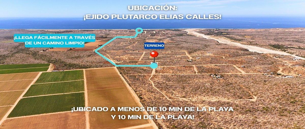 Foto de terreno habitacional en venta en ejido plutarco elias calles , plutarco elias calles, la paz, baja california sur, 30833411 No. 05