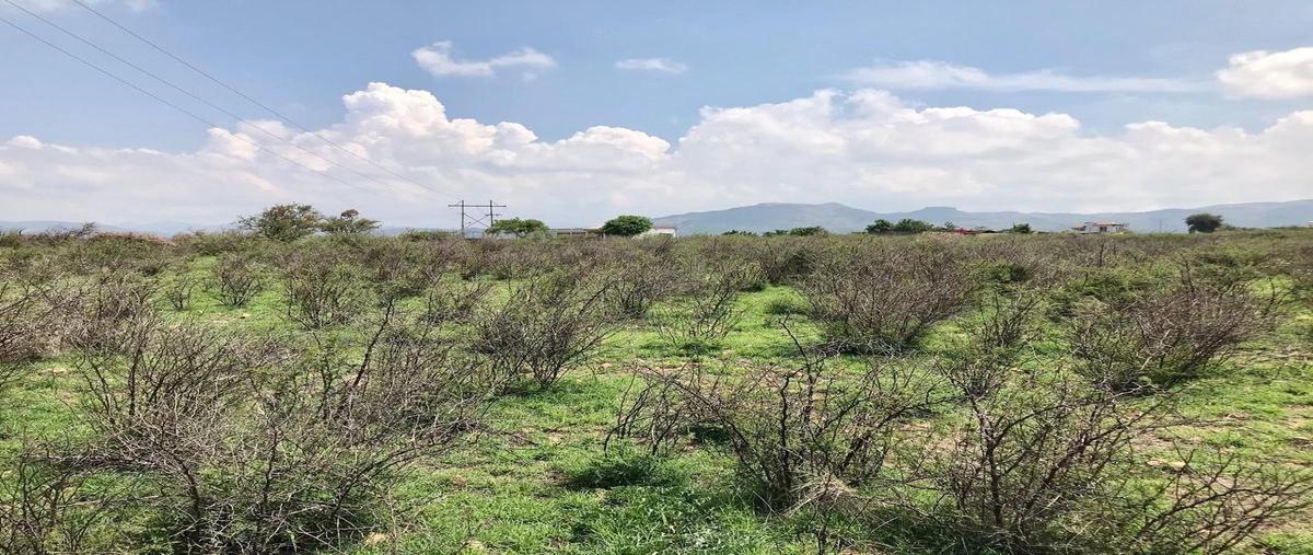 Foto de terreno habitacional en ejido puentecillas , puentecillas, guanajuato, guanajuato, 29381426 foto 03 Foto de terreno habitacional en venta en ejido puentecillas , puentecillas, guanajuato, guanajuato, 29381426 No. 03