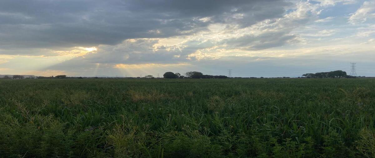 Foto de terreno industrial en venta en  , ejido purísima de cubos, colón, querétaro, 29383664 No. 03