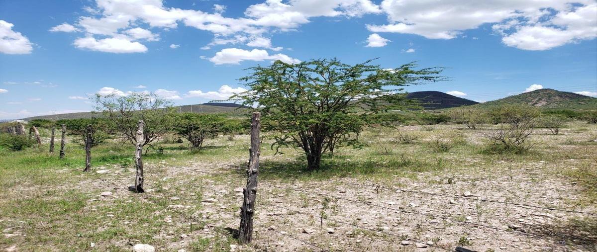 Foto de terreno habitacional en venta en  , ejido rancho de en medio, chihuahua, chihuahua, 27246275 No. 04
