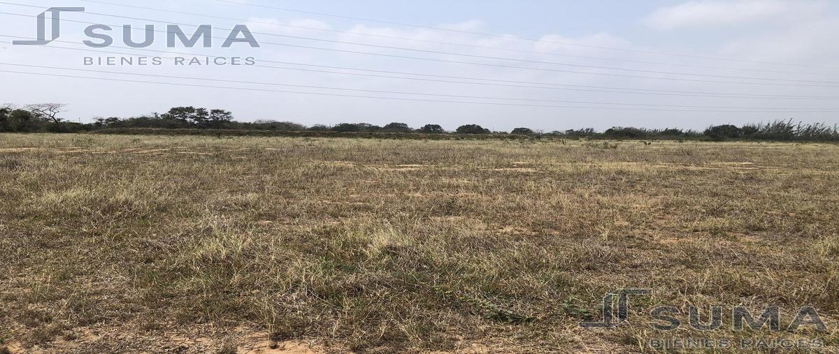 Foto de terreno habitacional en renta en  , ejido ricardo flores magón, altamira, tamaulipas, 19685405 No. 01