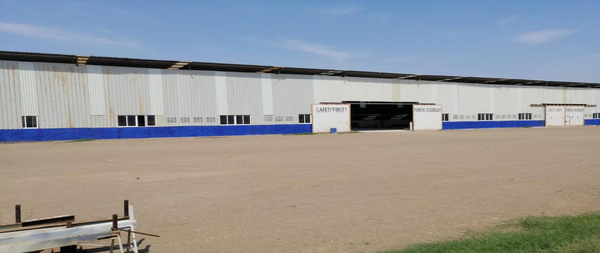 Foto de terreno habitacional en renta en  , ejido ricardo flores magón, altamira, tamaulipas, 19929488 No. 03