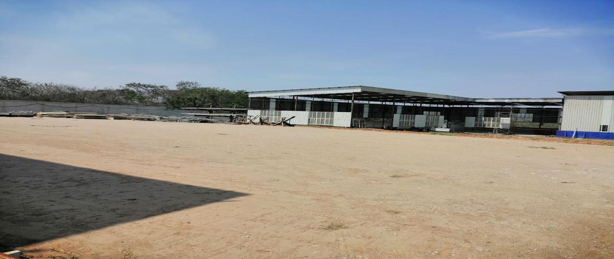 Foto de terreno habitacional en renta en  , ejido ricardo flores magón, altamira, tamaulipas, 19929488 No. 04