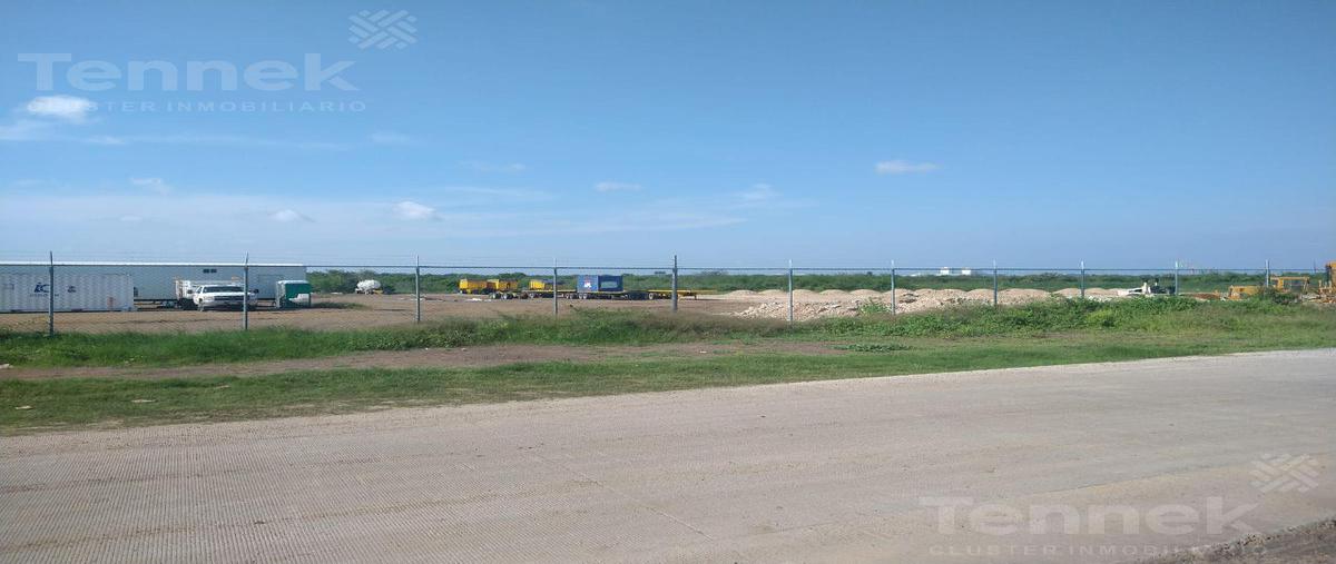 Foto de terreno habitacional en renta en  , ejido ricardo flores magón, altamira, tamaulipas, 22067459 No. 05