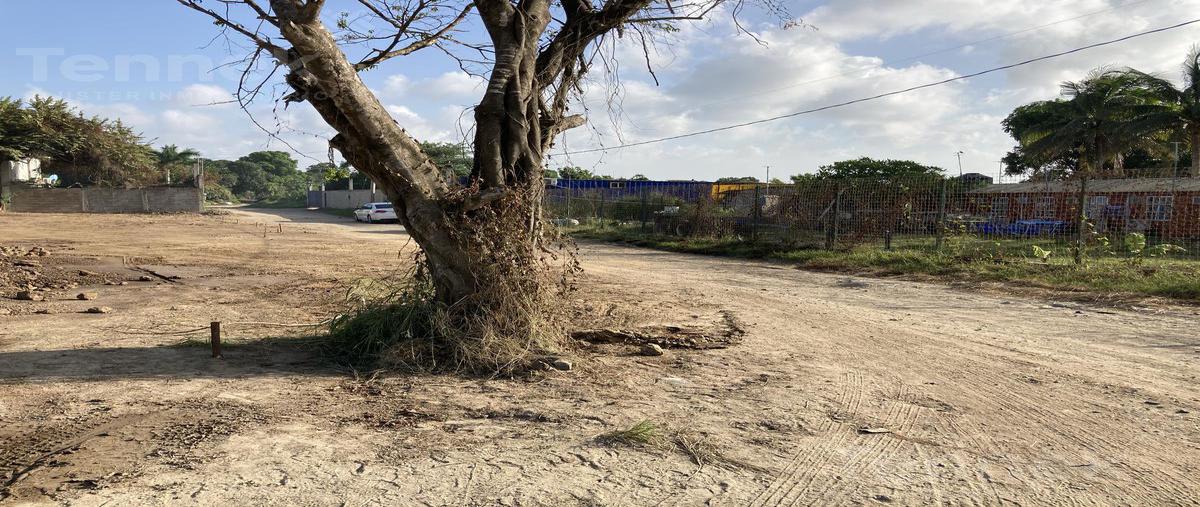 Foto de terreno habitacional en renta en  , ejido ricardo flores magón, altamira, tamaulipas, 22067462 No. 05