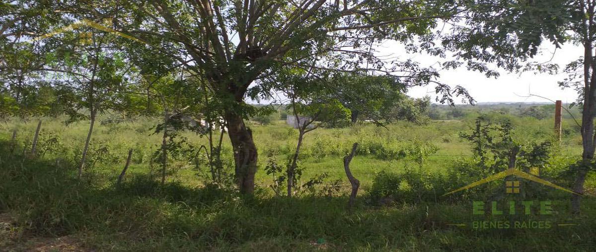 Foto de terreno habitacional en renta en  , ejido ricardo flores magón, altamira, tamaulipas, 23734770 No. 03