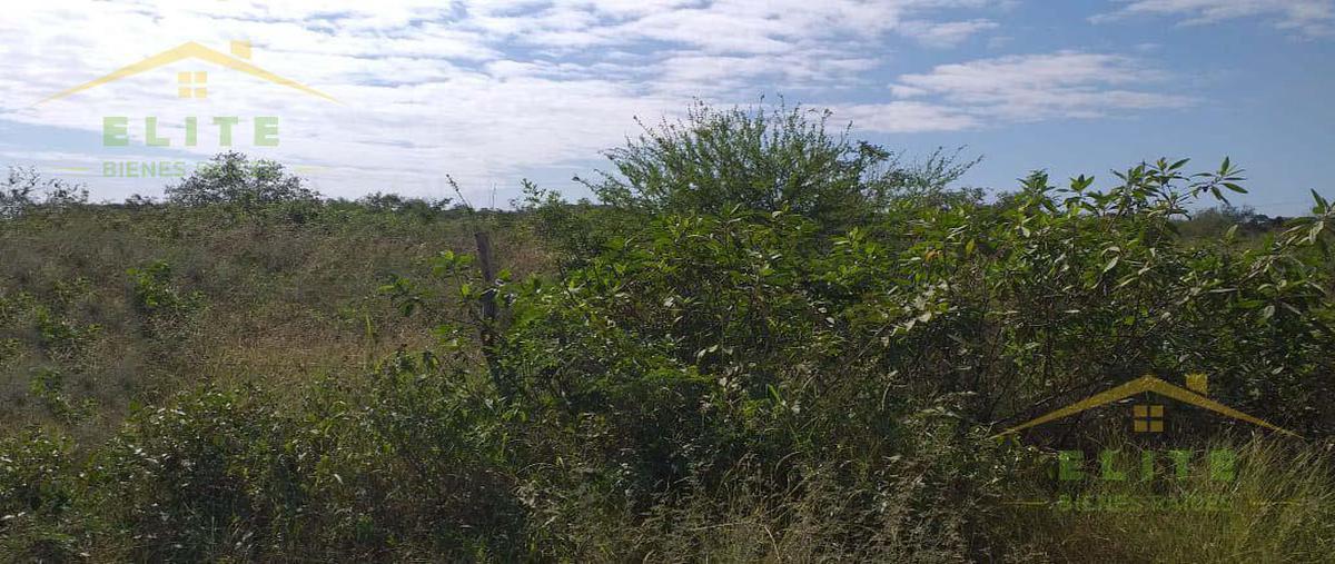 Foto de terreno habitacional en renta en  , ejido ricardo flores magón, altamira, tamaulipas, 23734770 No. 04