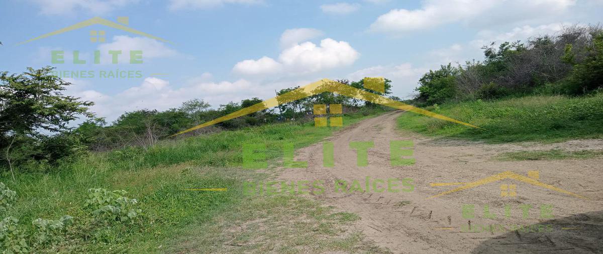 Foto de terreno habitacional en , ejido ricardo flores magón, altamira, tamaulipas, 25119281 foto 01 Foto de terreno habitacional en venta en , ejido ricardo flores magón, altamira, tamaulipas, 25119281 No. 01