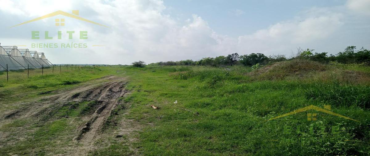 Foto de terreno habitacional en , ejido ricardo flores magón, altamira, tamaulipas, 25119281 foto 03 Foto de terreno habitacional en venta en , ejido ricardo flores magón, altamira, tamaulipas, 25119281 No. 03