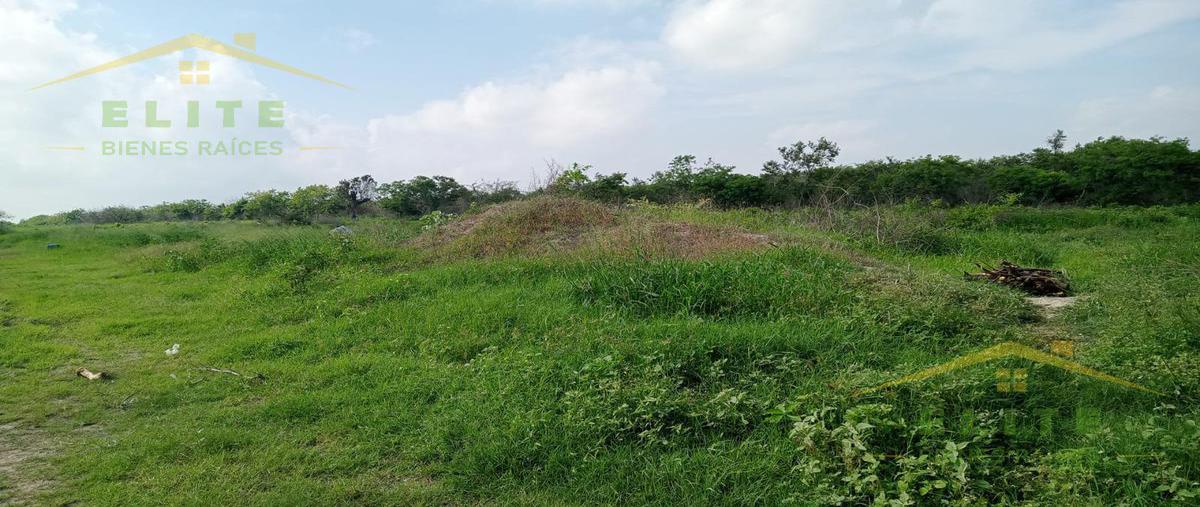 Foto de terreno habitacional en , ejido ricardo flores magón, altamira, tamaulipas, 25119281 foto 04 Foto de terreno habitacional en venta en , ejido ricardo flores magón, altamira, tamaulipas, 25119281 No. 04