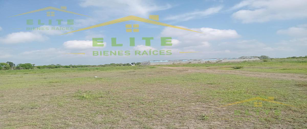 Foto de terreno habitacional en , ejido ricardo flores magón, altamira, tamaulipas, 25119281 foto 05 Foto de terreno habitacional en venta en , ejido ricardo flores magón, altamira, tamaulipas, 25119281 No. 05