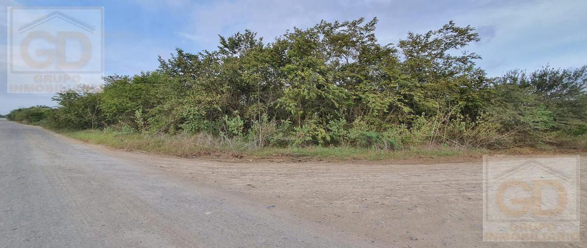 Foto de terreno habitacional en venta en  , ejido ricardo flores magón, altamira, tamaulipas, 25413591 No. 01