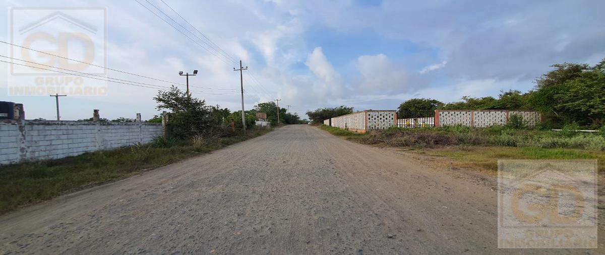 Foto de terreno habitacional en venta en  , ejido ricardo flores magón, altamira, tamaulipas, 25413591 No. 03