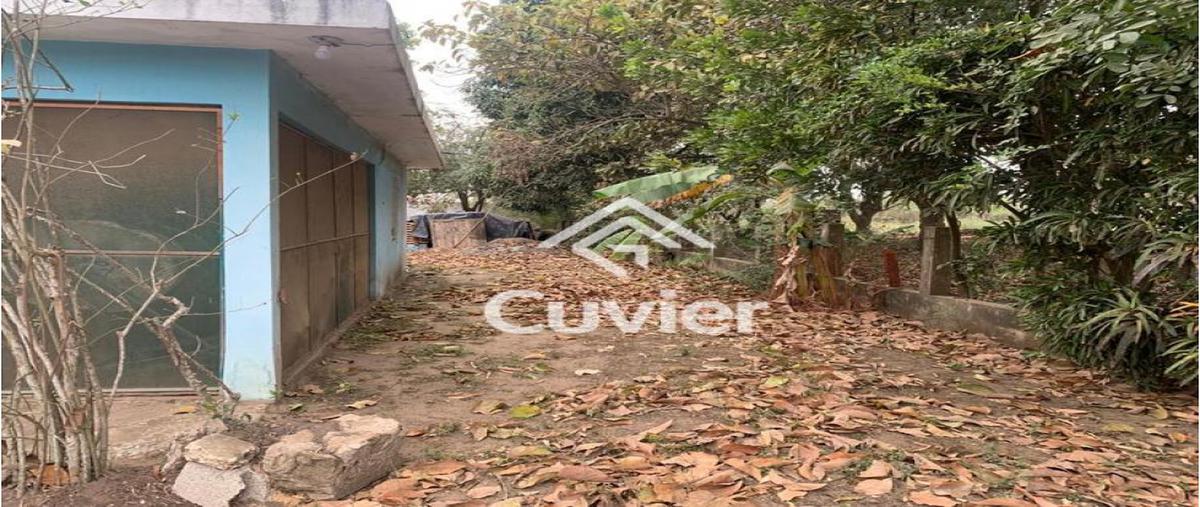 Foto de terreno habitacional en venta en  , ejido ricardo flores magón, altamira, tamaulipas, 0 No. 03