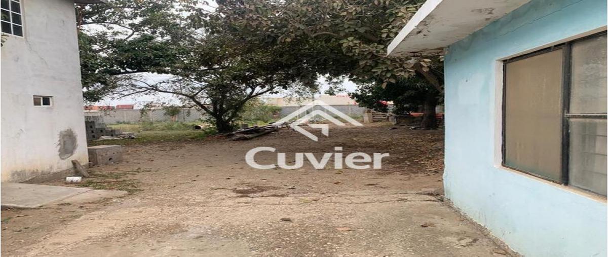 Foto de terreno habitacional en venta en  , ejido ricardo flores magón, altamira, tamaulipas, 0 No. 04