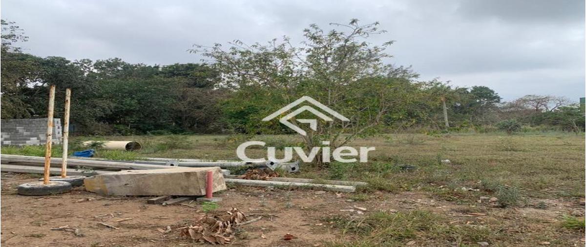 Foto de terreno habitacional en venta en  , ejido ricardo flores magón, altamira, tamaulipas, 0 No. 05