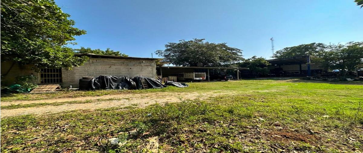 Foto de terreno habitacional en , ejido ricardo flores magón, altamira, tamaulipas, 0 foto 04 Foto de terreno habitacional en venta en , ejido ricardo flores magón, altamira, tamaulipas, 0 No. 04