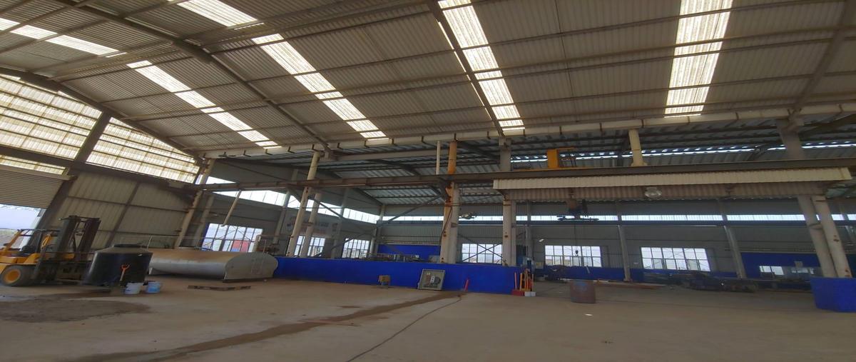 Foto de terreno habitacional en venta en  , ejido ricardo flores magón, altamira, tamaulipas, 0 No. 04