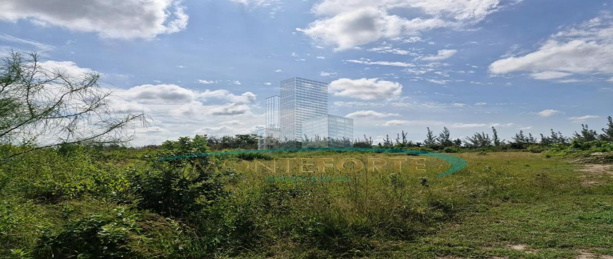 Foto de terreno habitacional en venta en  , ejido ricardo flores magón, altamira, tamaulipas, 0 No. 03