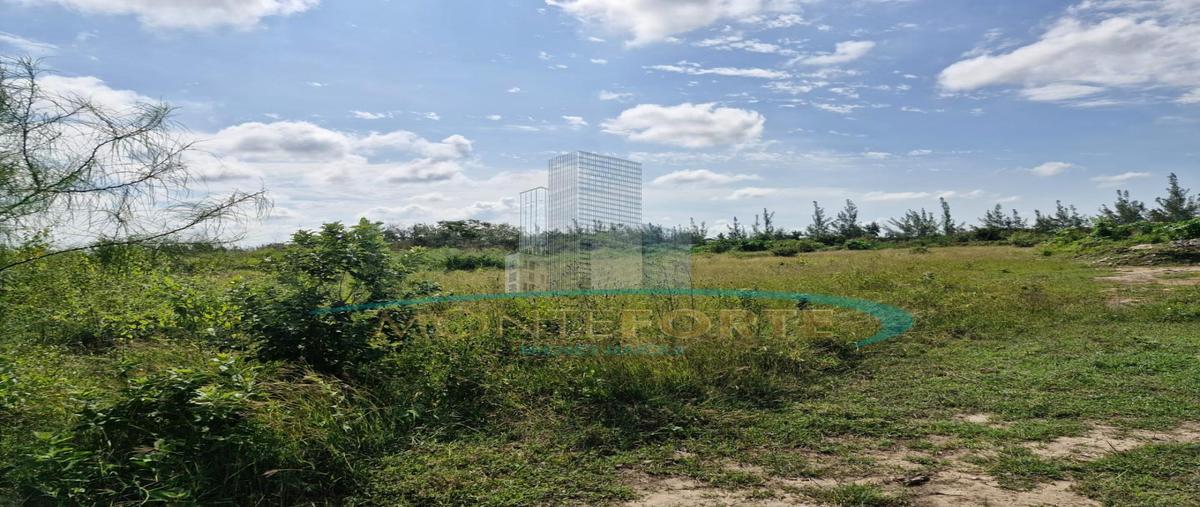 Foto de terreno habitacional en venta en  , ejido ricardo flores magón, altamira, tamaulipas, 0 No. 04