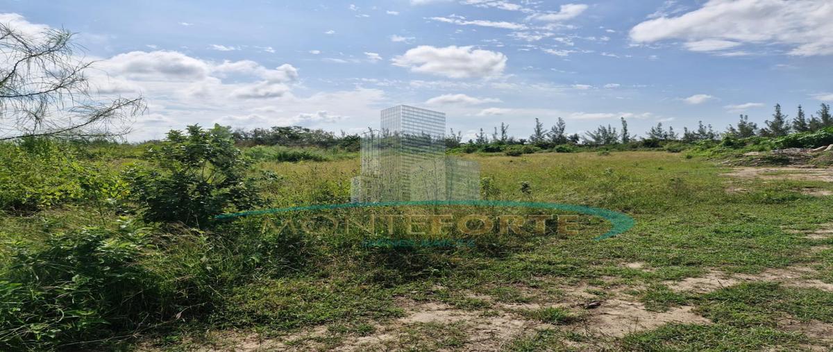 Foto de terreno habitacional en venta en  , ejido ricardo flores magón, altamira, tamaulipas, 0 No. 05