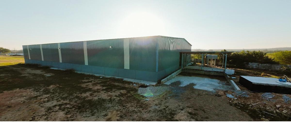 Foto de bodega en renta en  , ejido ricardo flores magón, altamira, tamaulipas, 29379512 No. 03