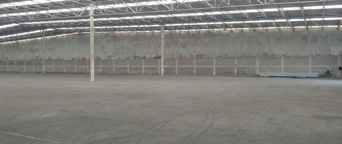 Foto de bodega en renta en  , ejido ricardo flores magón, altamira, tamaulipas, 0 No. 05